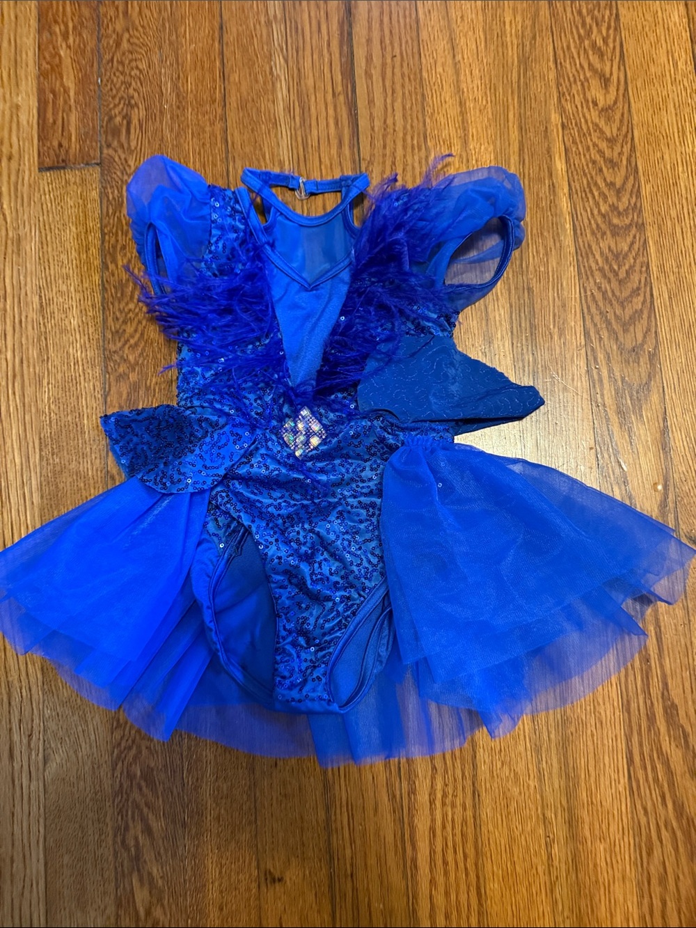 Weissman "Born To Entertain" royal blue sequin, tulle, and feather dance costume